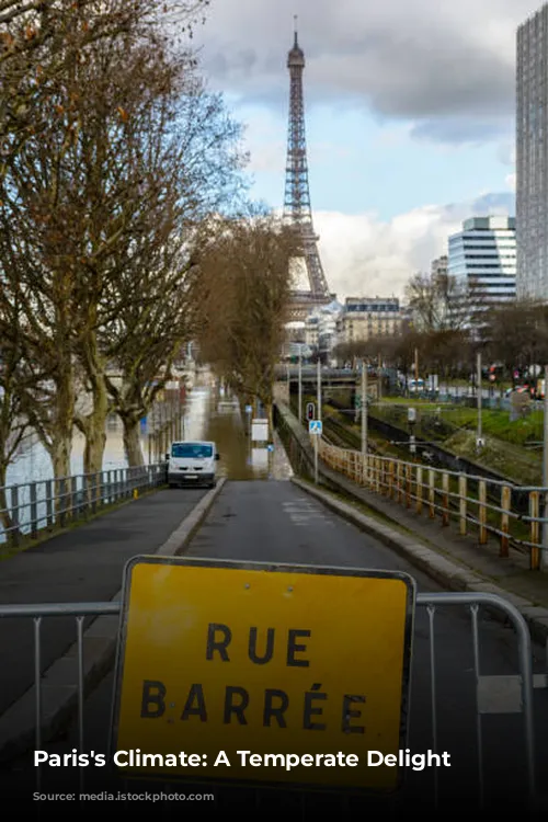 Paris's Climate: A Temperate Delight