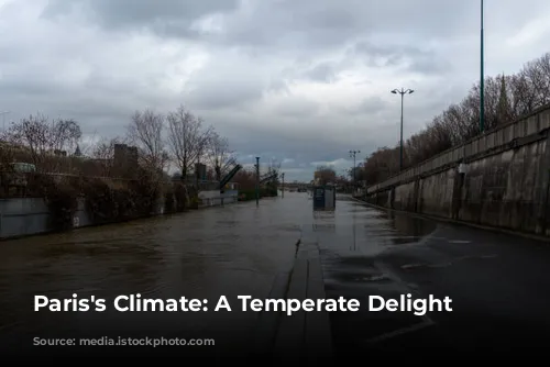 Paris's Climate: A Temperate Delight