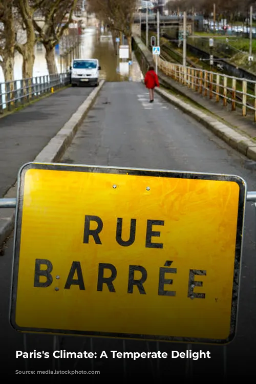 Paris's Climate: A Temperate Delight