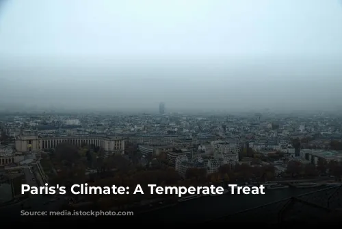 Paris's Climate: A Temperate Treat