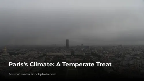 Paris's Climate: A Temperate Treat