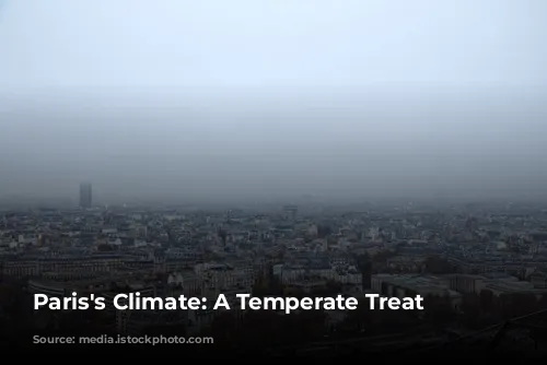 Paris's Climate: A Temperate Treat