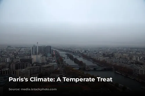 Paris's Climate: A Temperate Treat