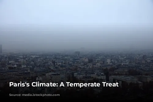 Paris's Climate: A Temperate Treat