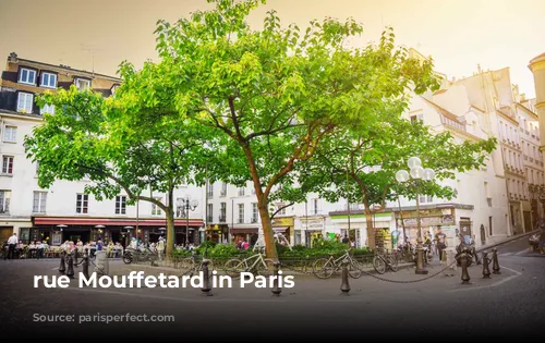 rue Mouffetard in Paris