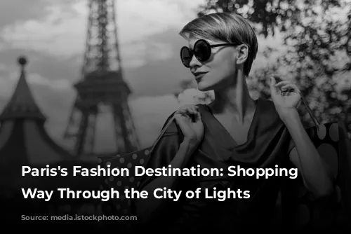 Paris's Fashion Destination: Shopping Your Way Through the City of Lights