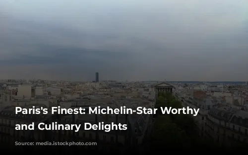 Paris's Finest: Michelin-Star Worthy Views and Culinary Delights