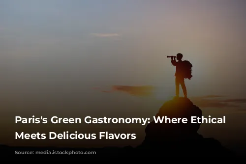 Paris's Green Gastronomy: Where Ethical Dining Meets Delicious Flavors