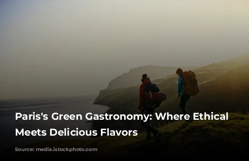 Paris's Green Gastronomy: Where Ethical Dining Meets Delicious Flavors