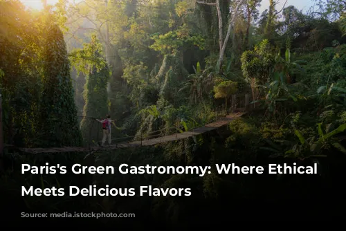 Paris's Green Gastronomy: Where Ethical Dining Meets Delicious Flavors