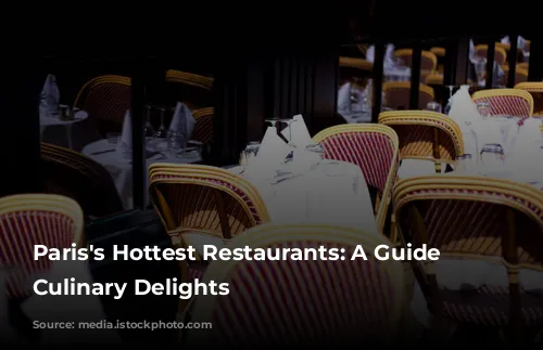 Paris's Hottest Restaurants: A Guide to Culinary Delights