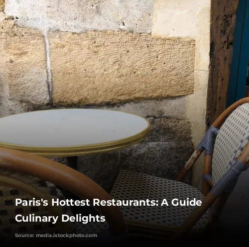 Paris's Hottest Restaurants: A Guide to Culinary Delights