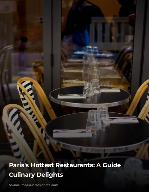 Paris's Hottest Restaurants: A Guide to Culinary Delights