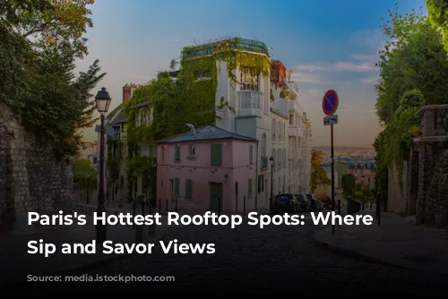 Paris's Hottest Rooftop Spots: Where to Sip and Savor Views