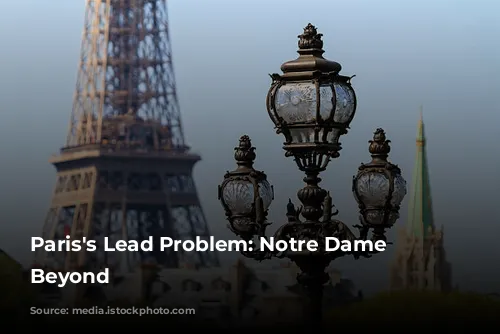 Paris's Lead Problem: Notre Dame and Beyond