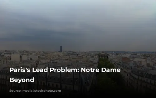 Paris's Lead Problem: Notre Dame and Beyond