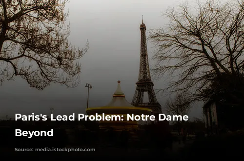 Paris's Lead Problem: Notre Dame and Beyond