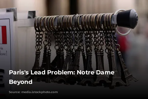 Paris's Lead Problem: Notre Dame and Beyond