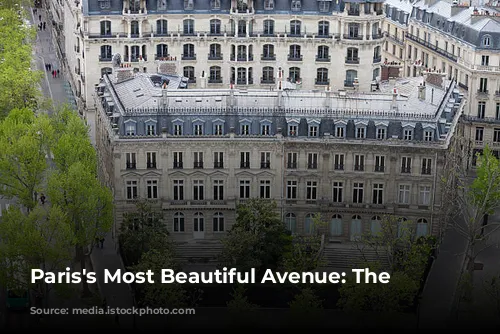 Paris's Most Beautiful Avenue: The Champs-Élysées