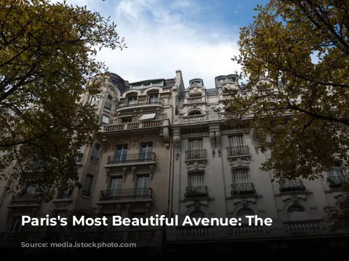 Paris's Most Beautiful Avenue: The Champs-Élysées