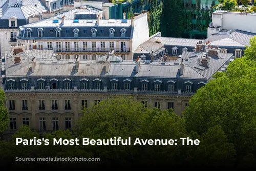 Paris's Most Beautiful Avenue: The Champs-Élysées