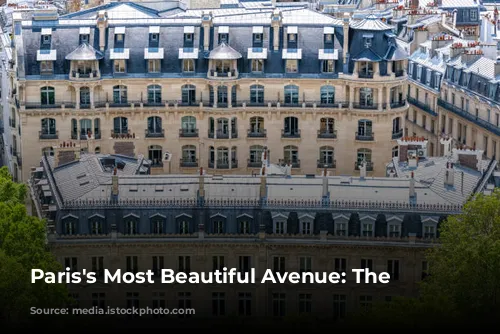 Paris's Most Beautiful Avenue: The Champs-Élysées