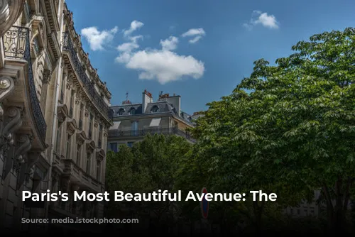 Paris's Most Beautiful Avenue: The Champs-Élysées