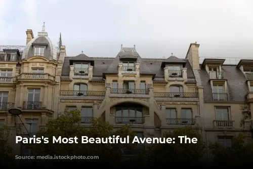 Paris's Most Beautiful Avenue: The Champs-Élysées