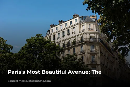 Paris's Most Beautiful Avenue: The Champs-Élysées