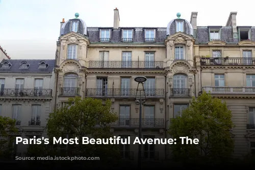 Paris's Most Beautiful Avenue: The Champs-Élysées