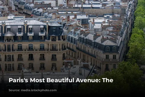 Paris's Most Beautiful Avenue: The Champs-Élysées