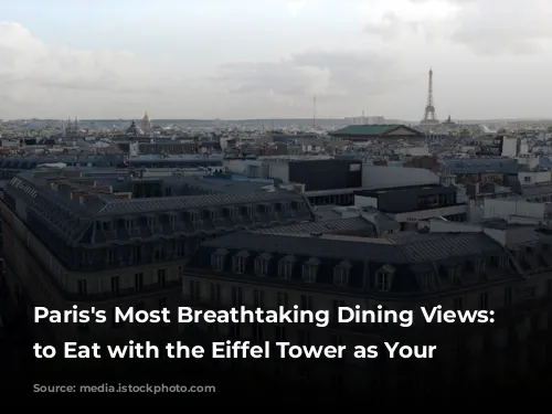 Paris's Most Breathtaking Dining Views: Where to Eat with the Eiffel Tower as Your Backdrop