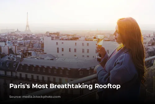 Paris's Most Breathtaking Rooftop Bars