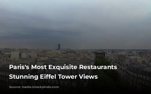 Paris's Most Exquisite Restaurants with Stunning Eiffel Tower Views