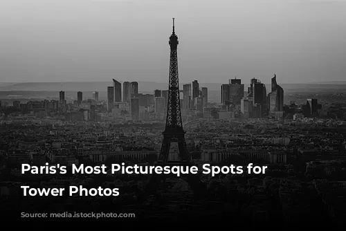 Paris's Most Picturesque Spots for Eiffel Tower Photos