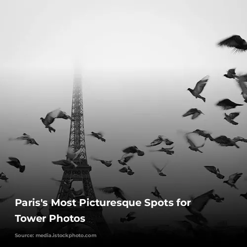 Paris's Most Picturesque Spots for Eiffel Tower Photos