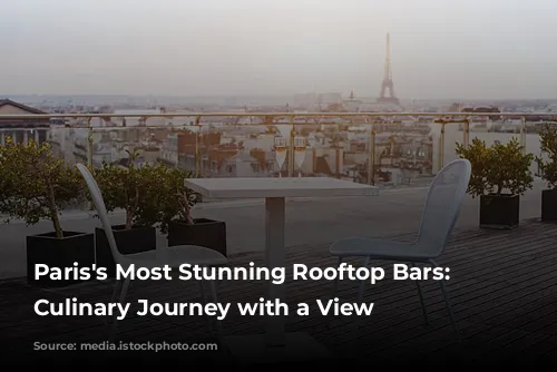 Paris's Most Stunning Rooftop Bars: A Culinary Journey with a View