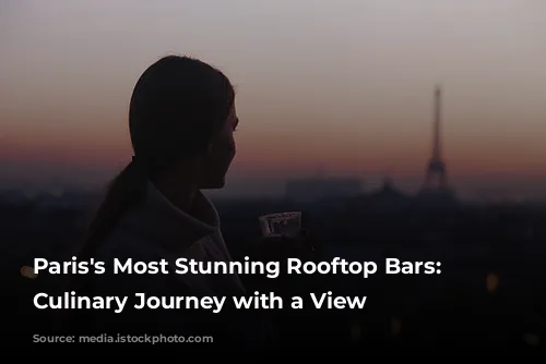 Paris's Most Stunning Rooftop Bars: A Culinary Journey with a View