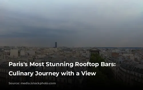 Paris's Most Stunning Rooftop Bars: A Culinary Journey with a View