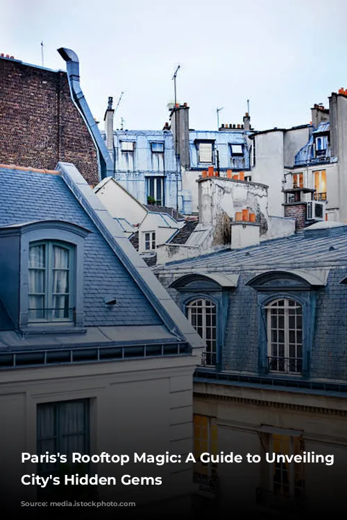 Paris's Rooftop Magic: A Guide to Unveiling the City's Hidden Gems