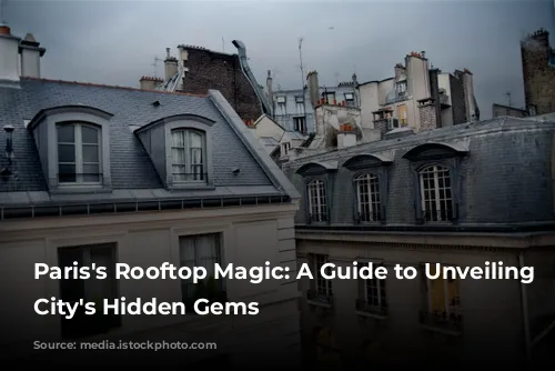 Paris's Rooftop Magic: A Guide to Unveiling the City's Hidden Gems