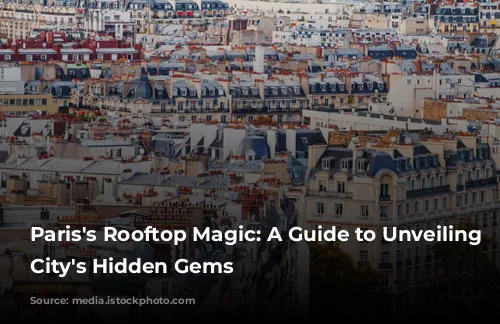 Paris's Rooftop Magic: A Guide to Unveiling the City's Hidden Gems