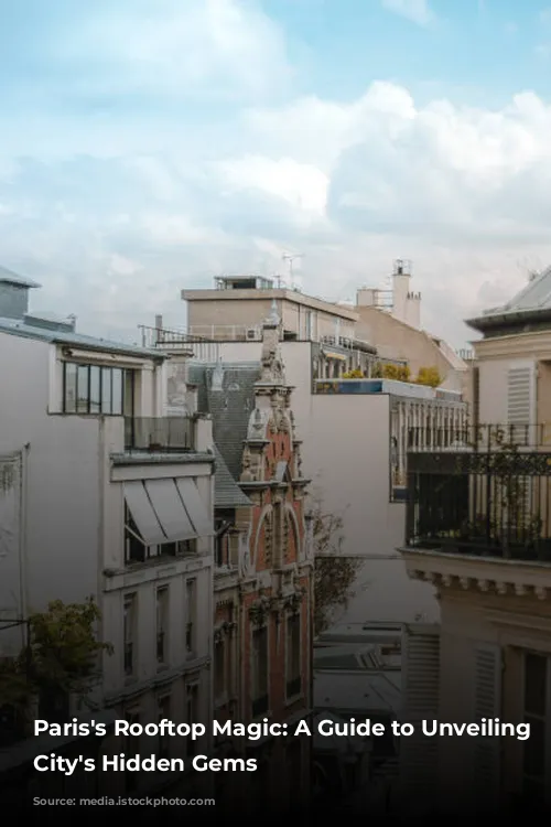 Paris's Rooftop Magic: A Guide to Unveiling the City's Hidden Gems