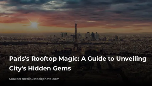 Paris's Rooftop Magic: A Guide to Unveiling the City's Hidden Gems