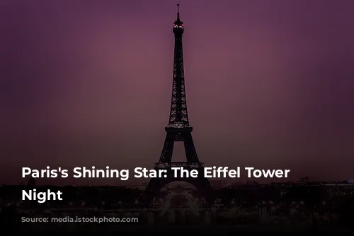 Paris's Shining Star: The Eiffel Tower at Night