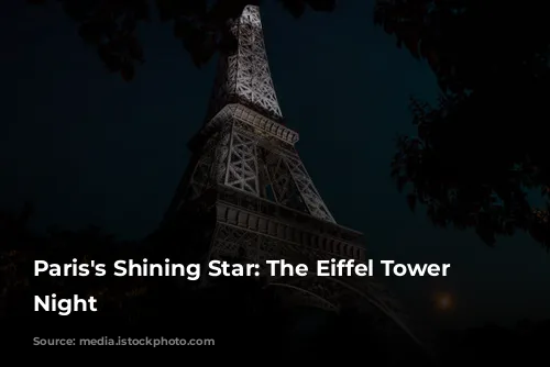 Paris's Shining Star: The Eiffel Tower at Night