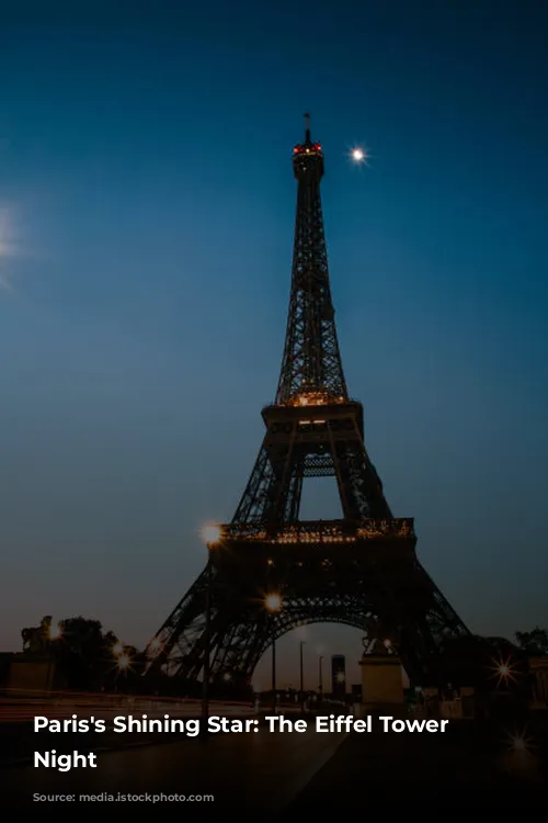 Paris's Shining Star: The Eiffel Tower at Night