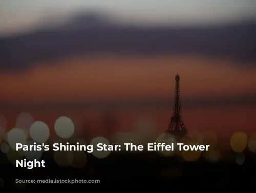 Paris's Shining Star: The Eiffel Tower at Night