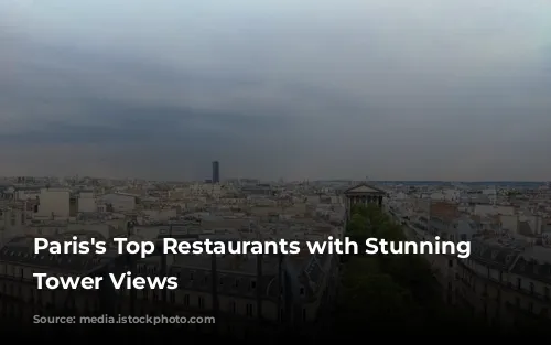 Paris's Top Restaurants with Stunning Eiffel Tower Views