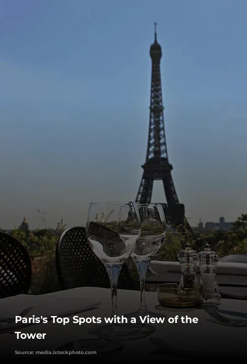 Paris's Top Spots with a View of the Eiffel Tower